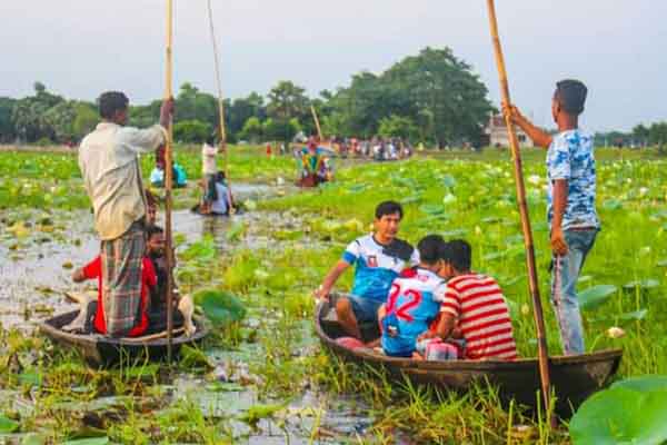 আখাউড়ায় পদ্মবিল