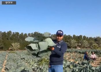 কৃষি পণ্য উৎপাদনে উৎসাহি করতে অকল্পনীয় ভর্তুকি।