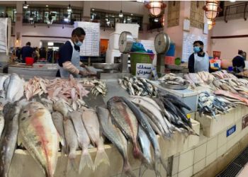 কুয়েতে প্রথম প্রান্তিকে স্থানীয় মাছ বিক্রি প্রায় ১ মিলিয়ন দিনারে