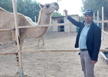 ইকোপার্কে উটের সাথে দর্শক হিসেবে লেখক