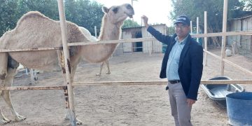 ইকোপার্কে উটের সাথে দর্শক হিসেবে লেখক