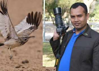 মরুভূমির বুকে শীতের অতিথি